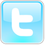 SIB IT, SEO & Web Design Services Twitter Button