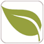 SIB IT, SEO & Web Design Services Branchout Button