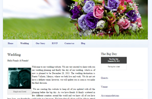 Wedding Web Design